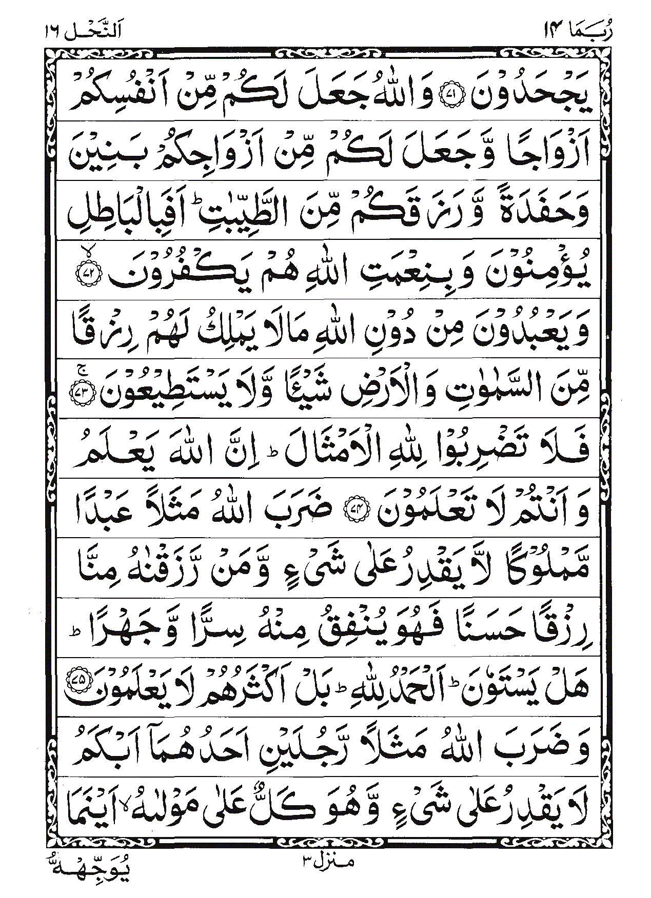 Surah An-Nahl Page 12